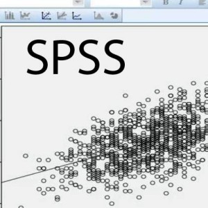 MANFAAT SPSS DALAM DUNIA BISNIS